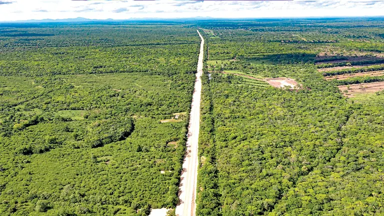 Una polémica carretera  atravesará el bosque seco chiquitano. Ernst Udo Drawert-capturas de video