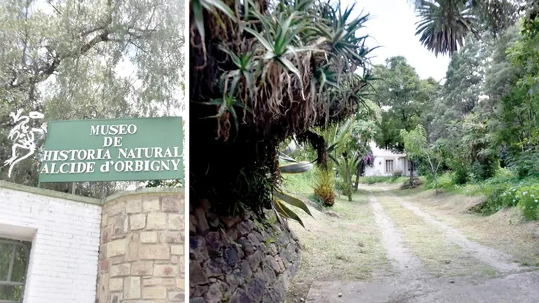 Fachada del Museo de Historia Natural Alcide d&rsquo;Orbigny y entrada principal. NOÉ PORTUGAL