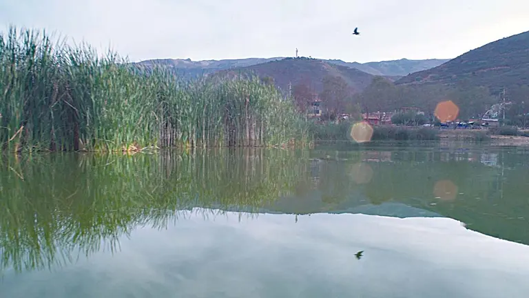 Fotograma de &ldquo;Alalay, reflejos de Cochabamba&rdquo;.   IRIS OCAMPO