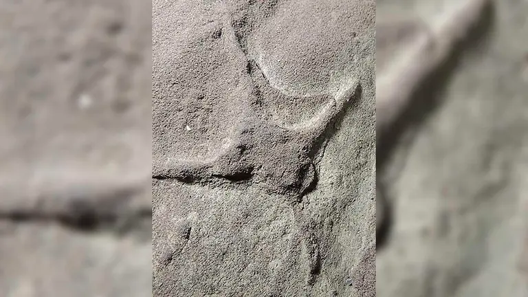 Fotograf&iacute;a sin fechar, cortes&iacute;a de la Universidad Nacional Aut&oacute;noma de M&eacute;xico (UNAM), donde se observa una pisada de ave, descubierta en el norte de M&eacute;xico. EFE