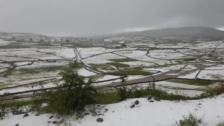 Desastre natural en Macha: granizada deja &ldquo;manto blanco de desolaci&oacute;n&rdquo;