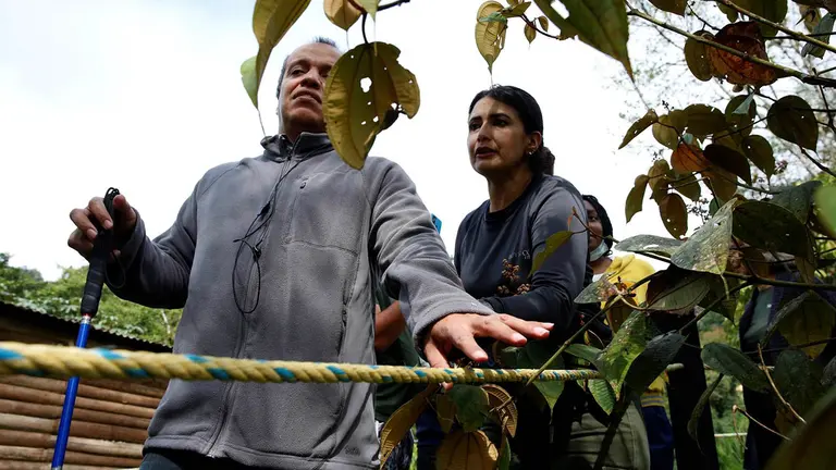 "Avistamiento" de aves, una experiencia sensorial para invidentes en Colombia./ EFE