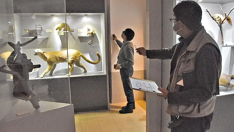 Parte del patrimonio que conserva el Museo de Historia Natural Alcide d'Orbigny. NOÉ PORTUGAL