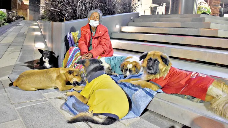Natalia Maquera y sus canes en su puesto de venta en la calle. DICO SOLÍS