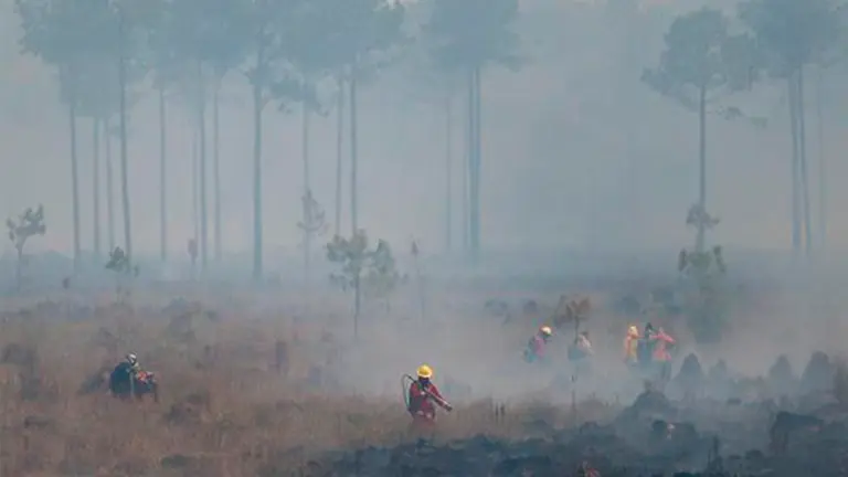 Incendio en Argentina. EFE