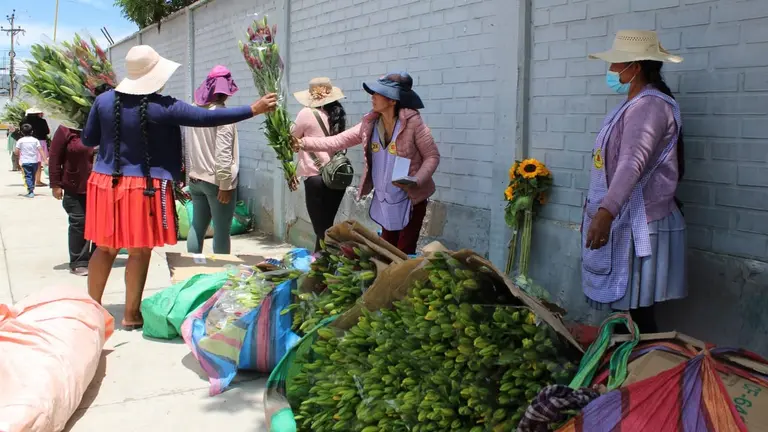 Productores de flores en Quillacollo. ALCALD&Iacute;A DE QUILLACOLLO