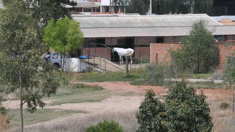 Predios del ex Hip&oacute;dromo, donde se prev&eacute; construir la Ciudadela de la Salud.       NO&Eacute; PORTUGAL