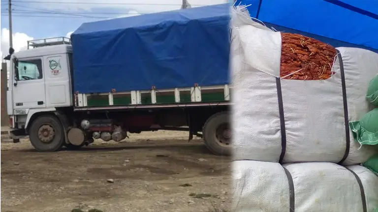 Aduana incauta lenteja, aj&iacute; y avena peruana valuadas en m&aacute;s de 130 mil bolivianos