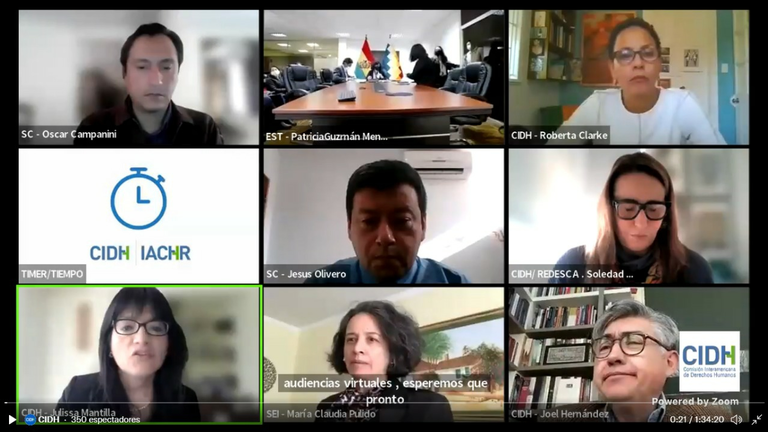 Los expositores, en la audiencia que la CIDH sostuvo con relaci&oacute;n a la contaminaci&oacute;n por mercurio en Bolivia. GENTILEZA