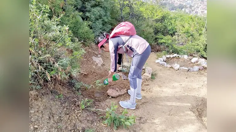 Una ambientalista riega un árbol en el cerro San Pedro. HUELLAS VERDES