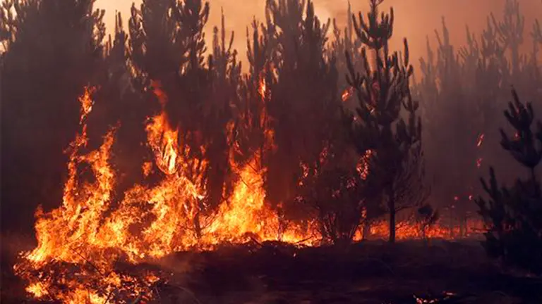 Incendio en EEUU. EFE