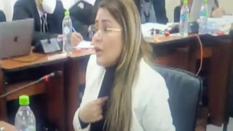 Jeanine &Aacute;&ntilde;ez, en su audiencia semipresencial por el caso "Golpe II".