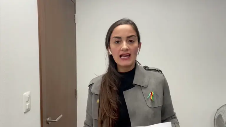 La diputada de Comunidad Ciudadana (CC), Luisa Nayar.