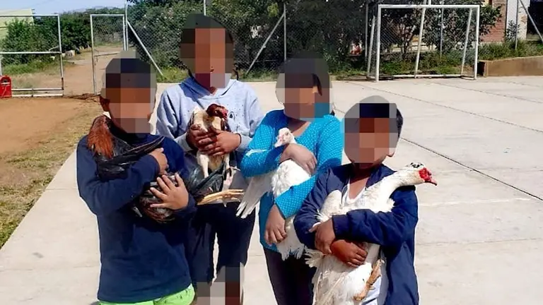 Los hijos de Jhovana Ch&aacute;vez sostienen a sus animales.