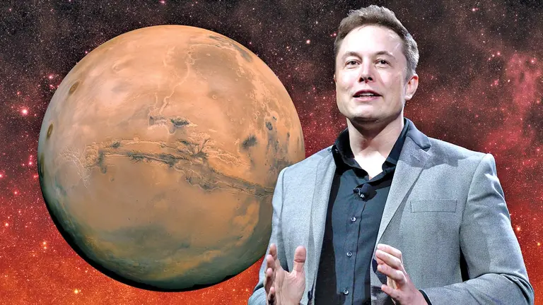 Elon Musk, el caprichoso multimillonario. SOHU