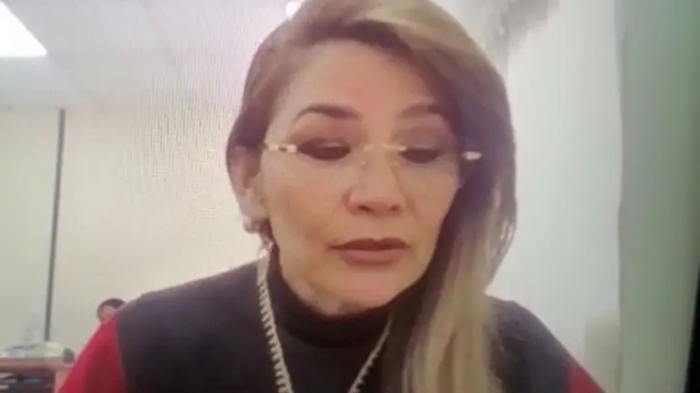 Jeanine &Aacute;&ntilde;ez, procesada por el caso "Golpe II". ERBOL