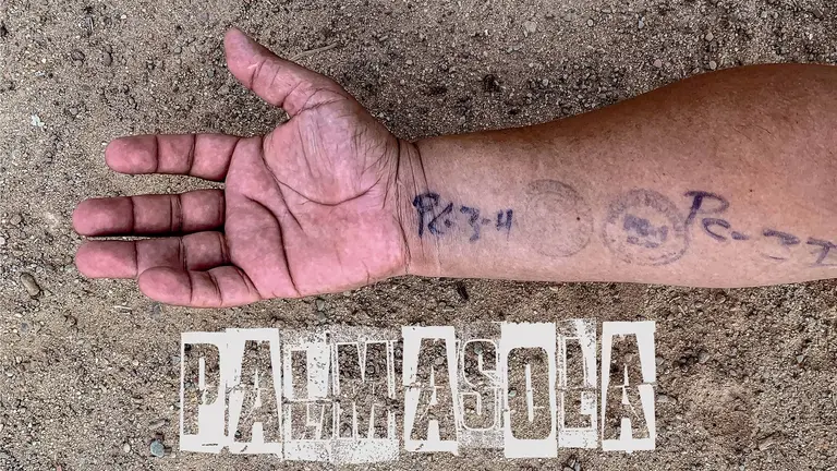 Afiche de "Palmasola".