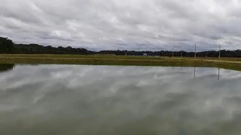 Uno de los estanques del Complejo Pisc&iacute;cola de Chimor&eacute;. CAPTURA RKC