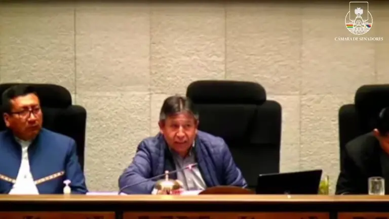 El vicepresidente David Choquehuanca comanda la sesi&oacute;n para elegir al Defensor del Pueblo.