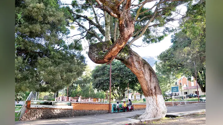 Plaza de Pocona. ARCHIVO