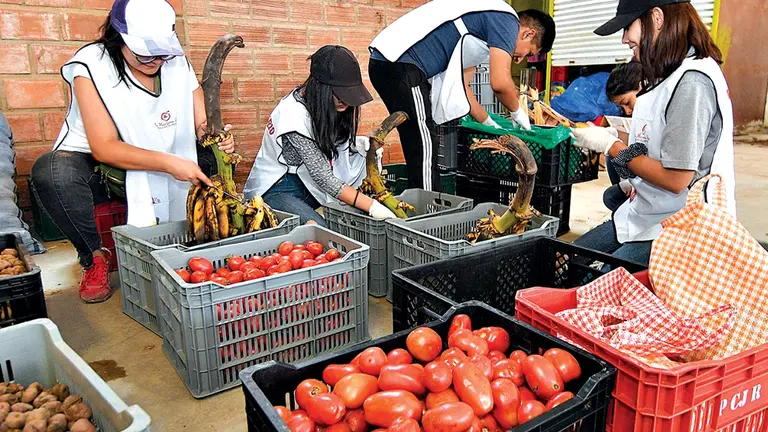 Voluntarios del Banco de Alimentos procesan verduras y frutas donadas. EFE