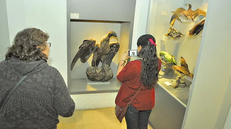 Visitantes en el Museo de Historia Natural Alcide d&rsquo;Orbigny. ARCHIVO- NOÉ PORTUGAL