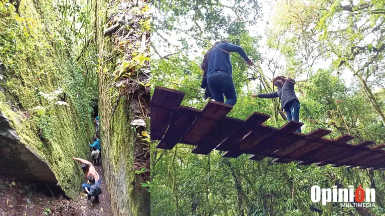 Turistas atraviesan un sendero en Locotal (i). Un puente colgante en Ecolocotal (d). DIRECCI&Oacute;N DE CULTURA Y TURISMO DE LA GOBERNACI&Oacute;N