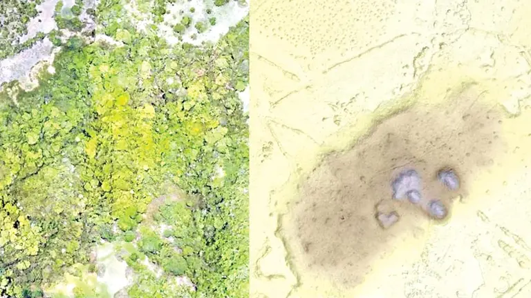 A la izquierda, vista aérea de la selva en Llanos de Mojos. A la derecha, imagen conseguida con LIDAR de la ciudad de Landívar que se oculta debajo de la densa vegetación.    LLANOS DE MOXOS- HIEKO PRÜMERS 