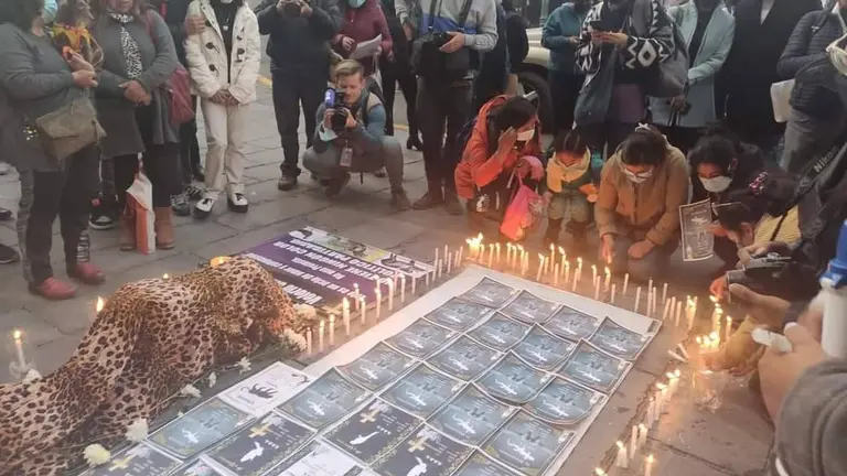 El velorio simb&oacute;lico en homenaje a los animales muertos en Vesty Pakos. APLAB