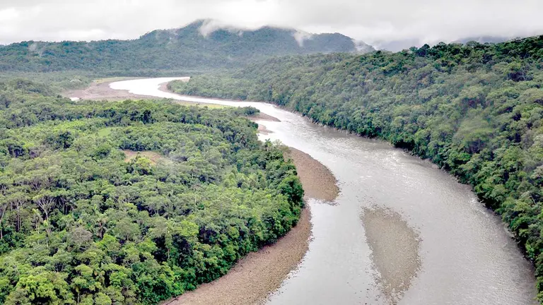 Imagen del Chapare, donde se encuentra parte de la Amazonía. ARCHIVO
