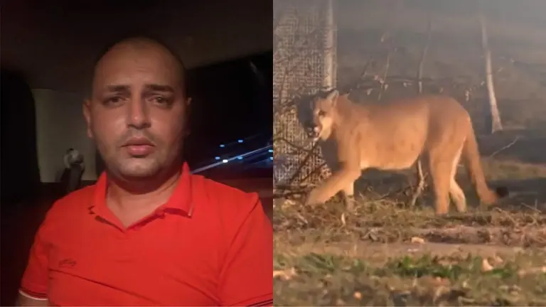 Misael Nallar y uno de los pumas en su estancia, en Santa Cruz. URGENTE.BO