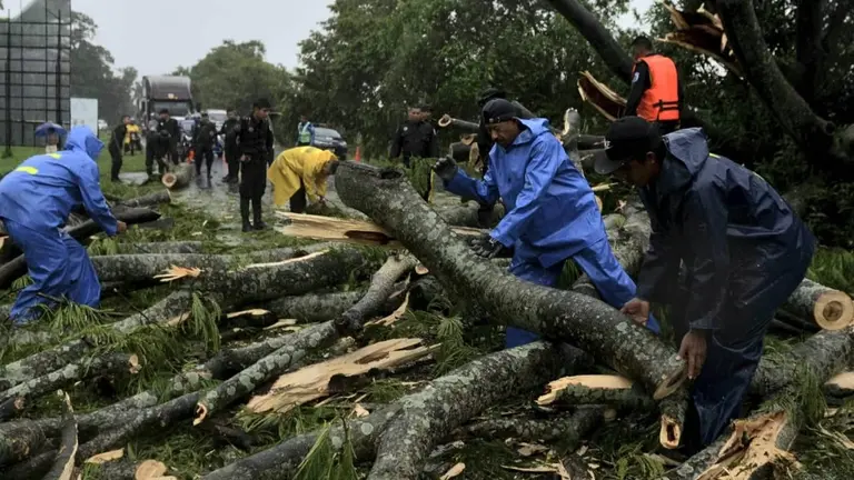 Trabajadores de la alcald&iacute;a de Rivas cortan un &aacute;rbol que cay&oacute; en la carretera Panamericana Sur, tras el paso de la tormenta tropical Bonnie. EFE
