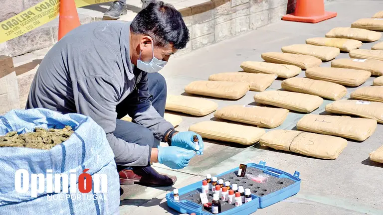 Droga incautada en un operativo de la FELCN. NOÉ PORTUGAL