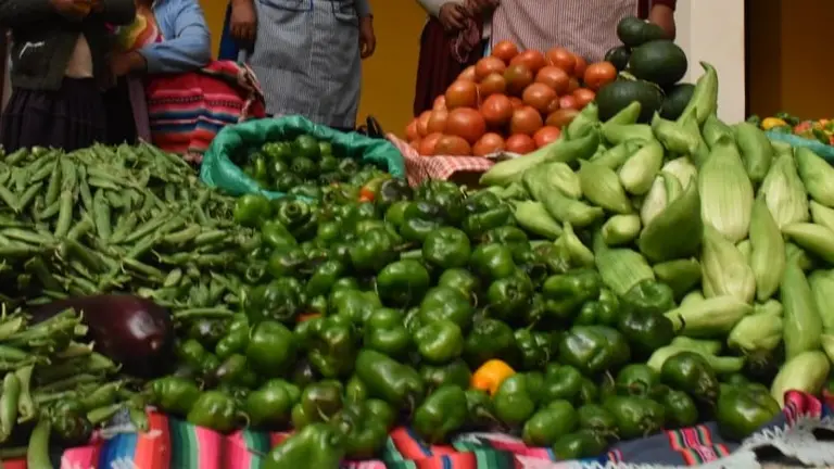 Productos a la exposici&oacute;n y venta en la feria agroindustrial. NO&Eacute; PORTUGAL