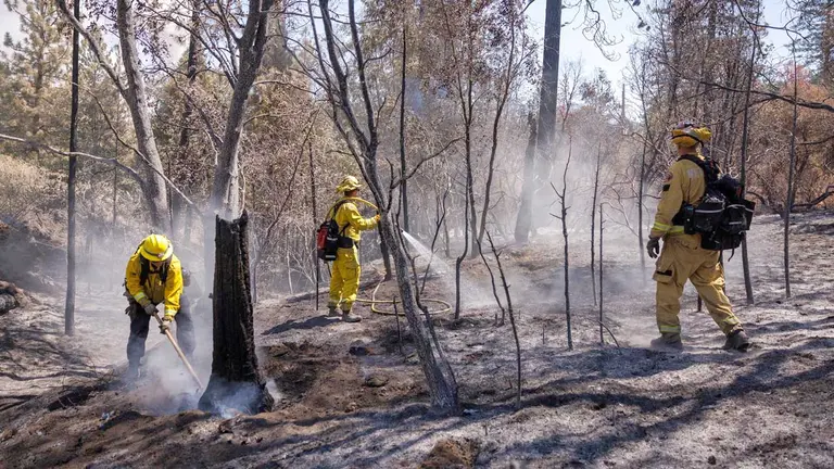 Humo de incendio forestal en California afecta la Bahía de San Francisco. EFE