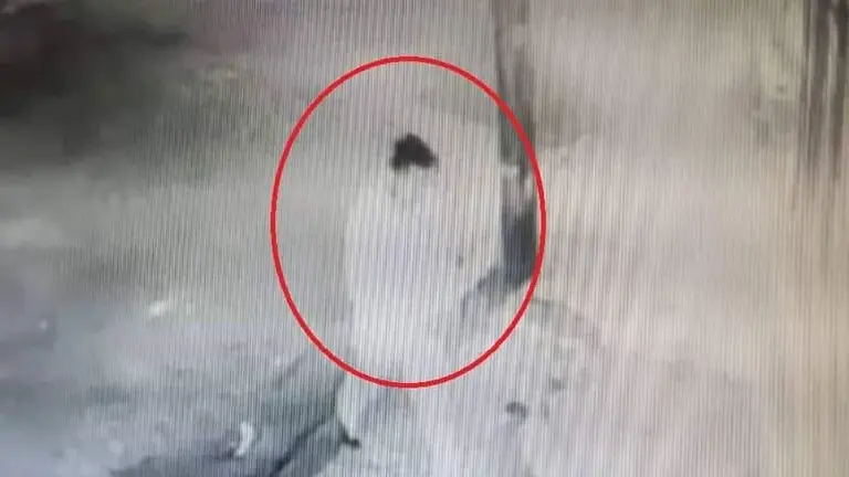 El polic&iacute;a de la FELCV, en el instante en el que golpea a su pareja.