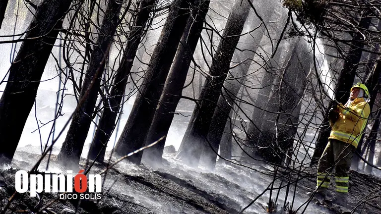 El incendio en Apote, el mes anterior. DICO SOL&Iacute;S