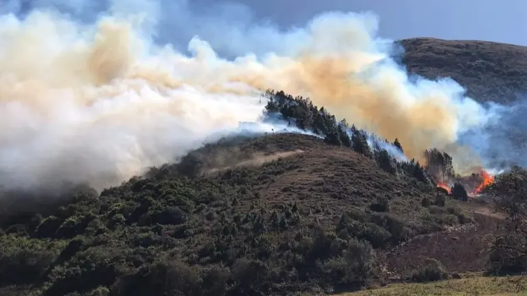 Incendio en Monte Punku. SAR BOLIVA
