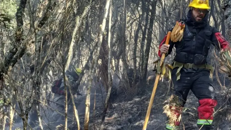 Voluntarios trabajan en el enfriamiento del incendio, ocurrido en Monte Punku, parte del Parque Nacional Carrasco. TUNARI SIN FUEGO.