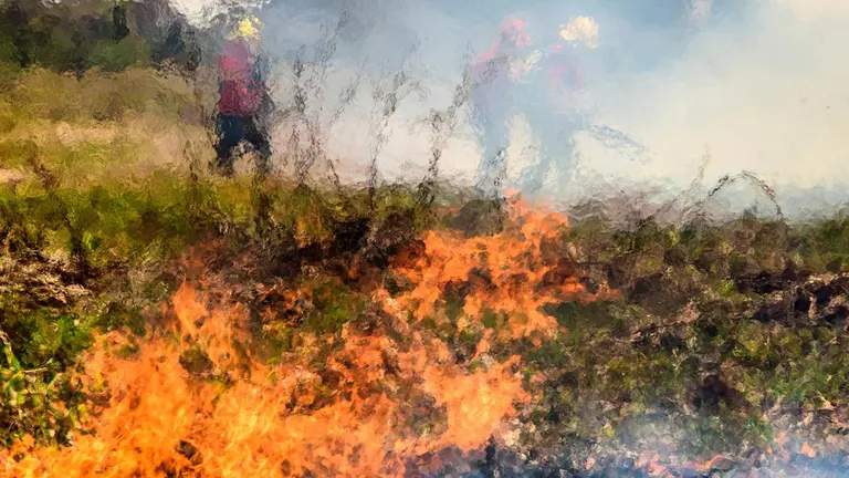 El Gobierno boliviano reporta 299.503 hect&aacute;reas afectadas por incendios en 2022./ EFE