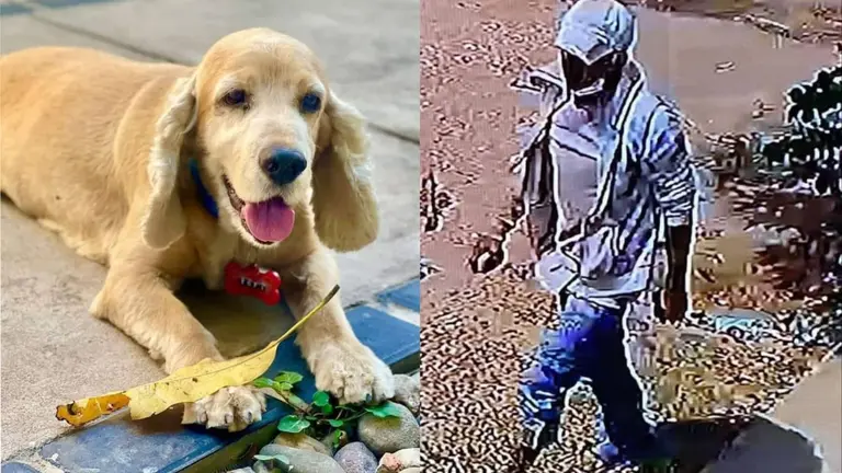 Tofi, el perro asesinado en Santa Cruz. Del otro lado, su biocida.