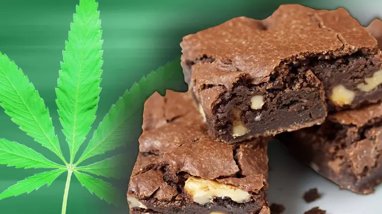 Brownies con marihuana como ingrediente no permitido. INFOBAE