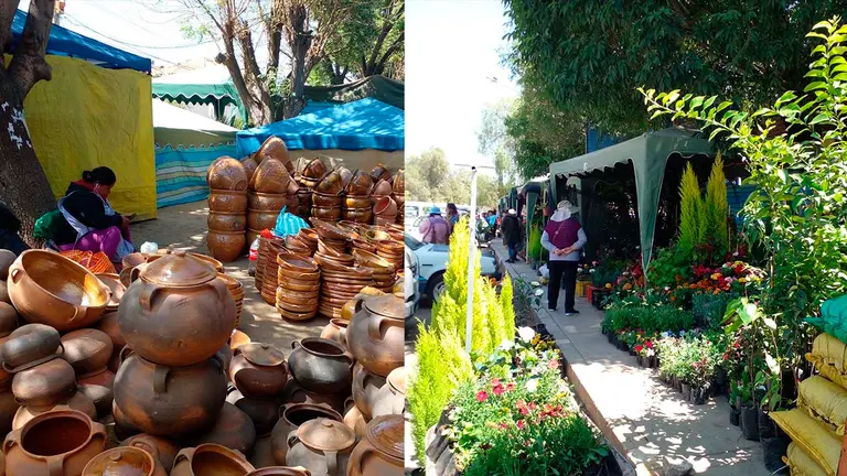 Las plantas y cer&aacute;micas de los participantes. RUTH ALBORNOZ