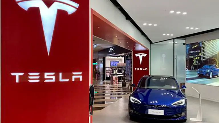 Sobre Tesla. EFE