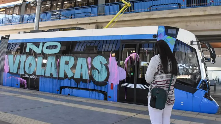 Fotograf&iacute;a de uno de los vagones del tren grafiteados. Dico Sol&iacute;s