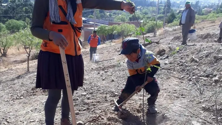 Un ni&ntilde;o planta un &aacute;rbol ayudado por su madre en la comunidad de Catachilla Chica (Sacaba) en ocasi&oacute;n del D&iacute;a del &Aacute;rbol. VICEMINISTERIO DE RECURSOS H&Iacute;DRICOS