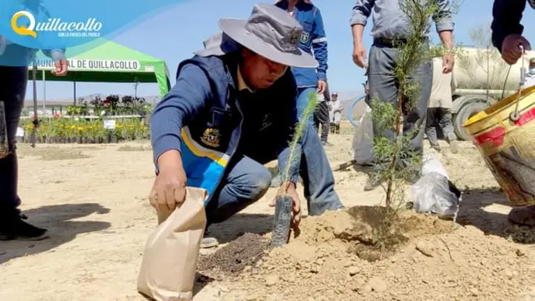 Un trabajador planta un pino en Cotapachi. GAMQ