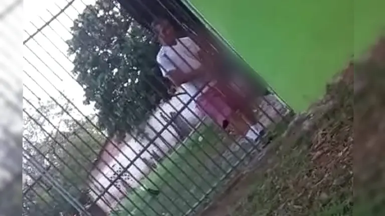 El biocida de La Guardia, en el momento en que ahorca a su gato.