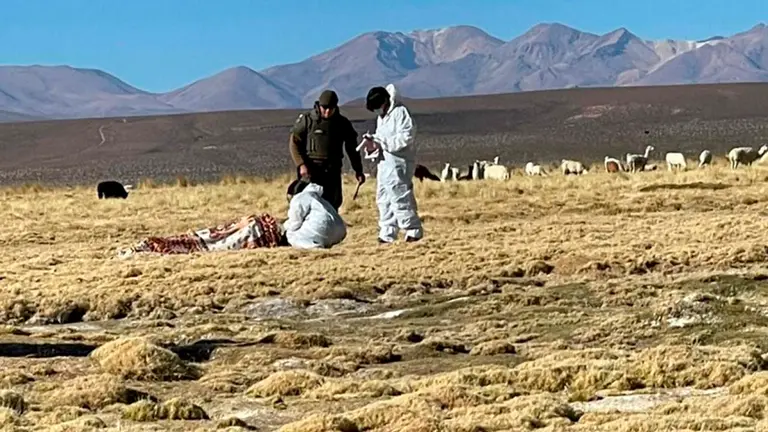 En Colchane hallan sin vida a un boliviano que cruz&oacute; la frontera ilegalmente