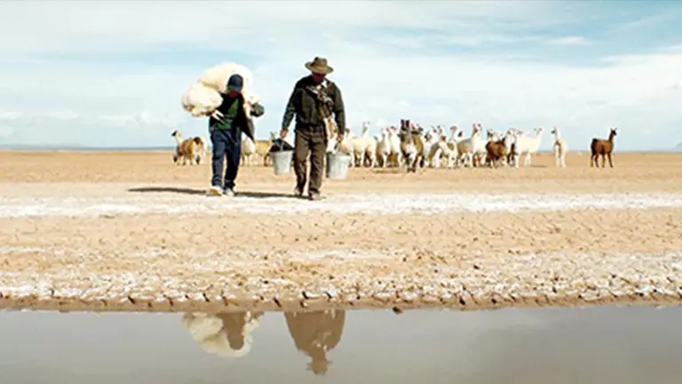 Cine latinoamericano: Algo m&aacute;s  que Argentina, Brasil o M&eacute;xico